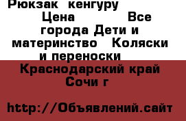 Рюкзак -кенгуру Baby Bjorn  › Цена ­ 2 000 - Все города Дети и материнство » Коляски и переноски   . Краснодарский край,Сочи г.